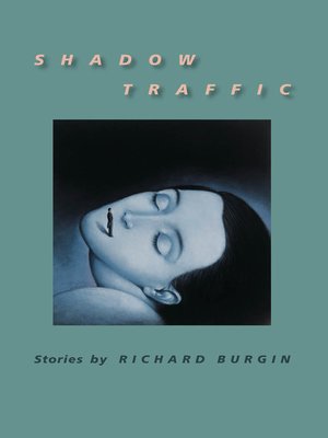 cover image of Shadow Traffic